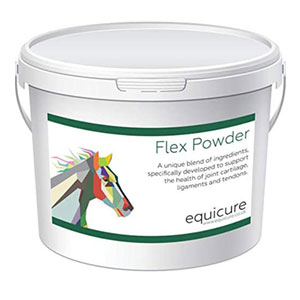 Equicure Flex Powder