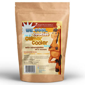 Equine Synergy Be Cool Cookies Horse Calming Cookies