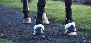 protective horse boots and bandages